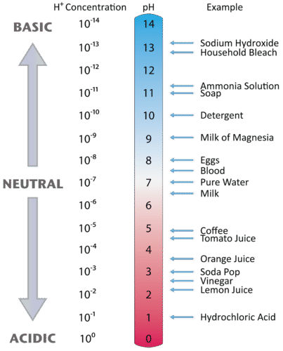 <p>shows relationship between pH and hydrogen ions concentration</p>