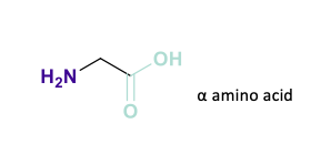 <p><span><strong>Glycine&nbsp; -&nbsp;&nbsp; nothing&nbsp; , used for structure , spacer between other groups , no residue so no interactions</strong></span></p>