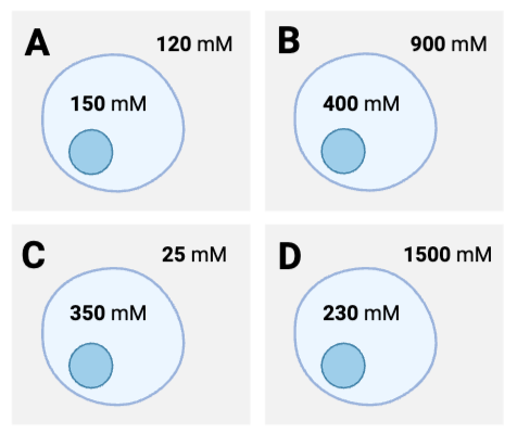 <p>For which cells will the net diffusion of water be into the cell? Select <strong>all </strong>that apply.</p><ul><li><p><span>a. Cell <strong>A</strong></span></p><p></p></li><li><p><span>b. Cell <strong>B</strong></span></p><p></p></li><li><p><span>c. Cell <strong>C</strong>&nbsp;</span></p><p></p></li><li><p><span>d. Cell <strong>D</strong></span></p></li></ul><p></p>