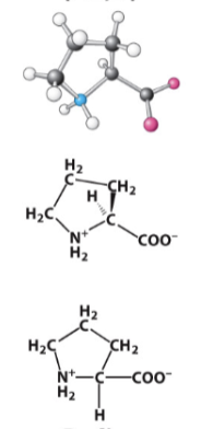 <p>Hydrophobic R-group. </p>