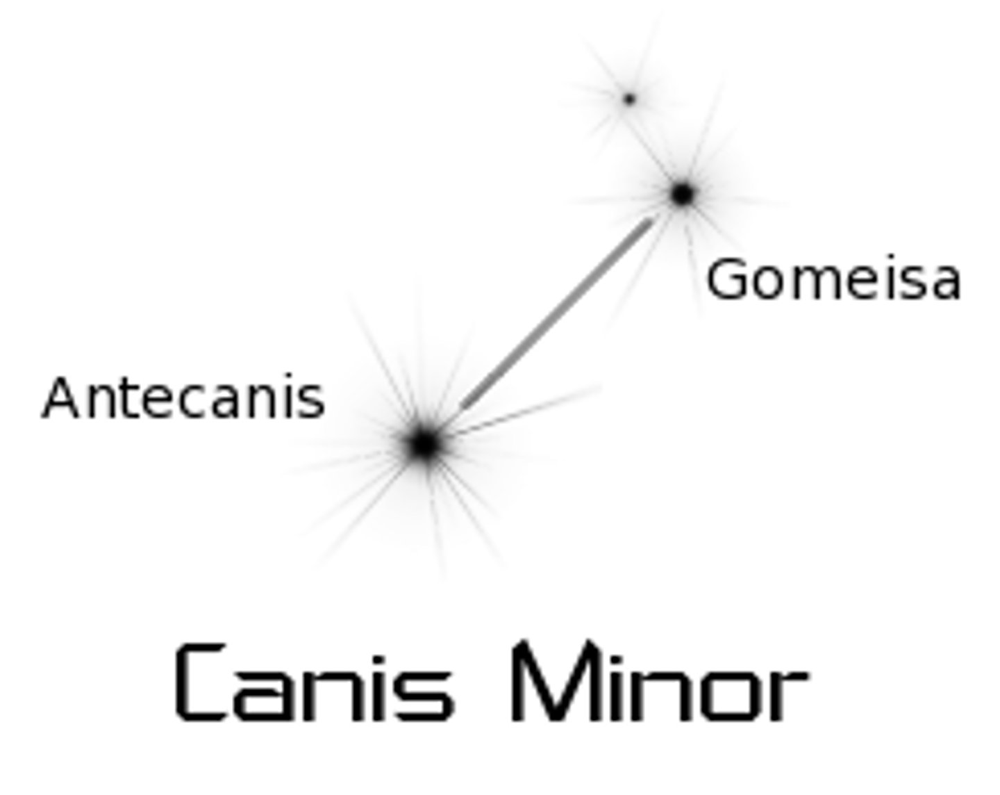 <p>little dog / brightest star: Procyon (α CMi)</p>