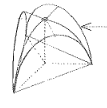 <p>A compound vault for covering a triangular space, formed by the intersection of three-barrel vaults.</p>