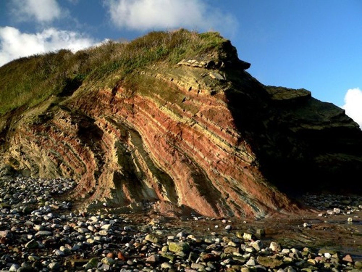<p>A layer of sedimentary rock whose composition is more or less the same throughout and that is visibly different from the rock layers above and below it</p>