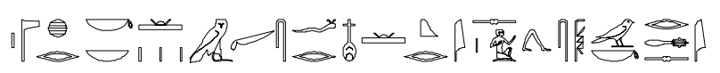 term image