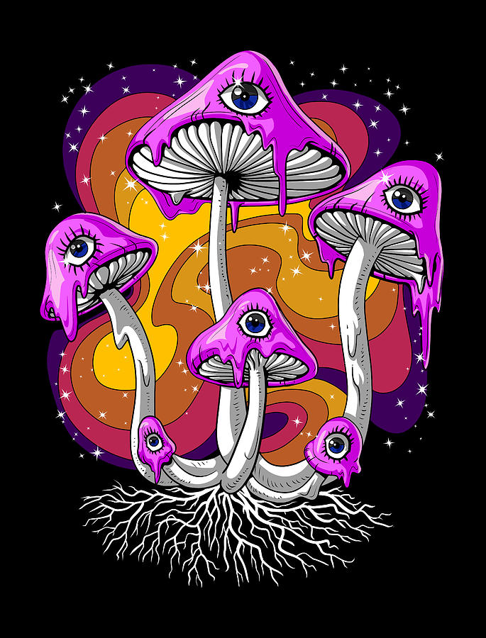 <p>where can psilocin and psilocybin be found?</p>