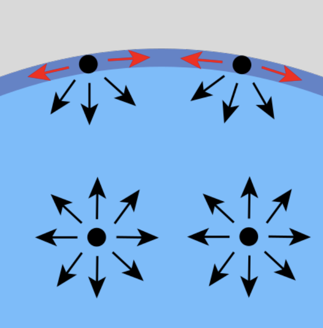 <ul><li><p>enhancement of intermolecular forces on the surface</p></li><li><p>water molecules are more likely to form hydrogen bonds parallel to the surface</p></li></ul>