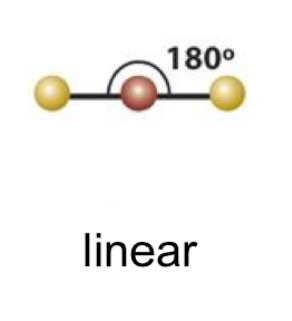 EPG: linear