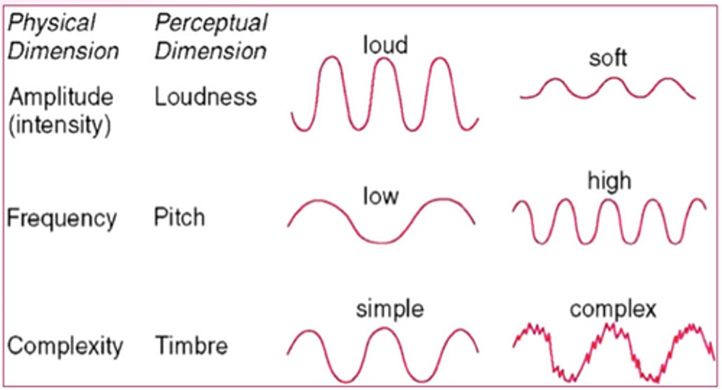 <p>pitch is frequency, loudness is amplitude</p>