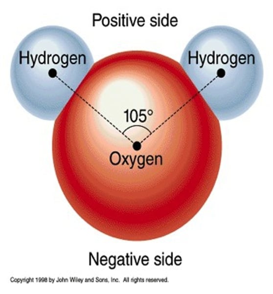 <p>A oxygen molecule has a slight _________ charge.</p>
