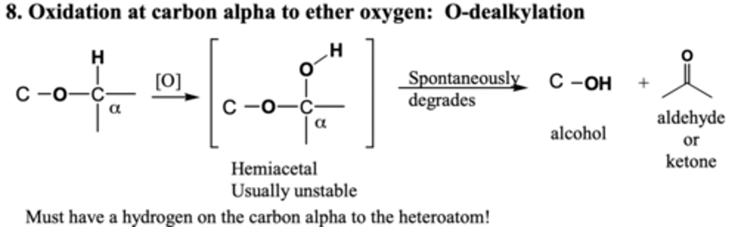 <p>OH added to R group attached to O, breaks off</p><p>ROR-&gt; ROH and O=C</p>