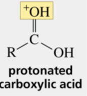 <p>protonated carboxylic acid pKa</p>