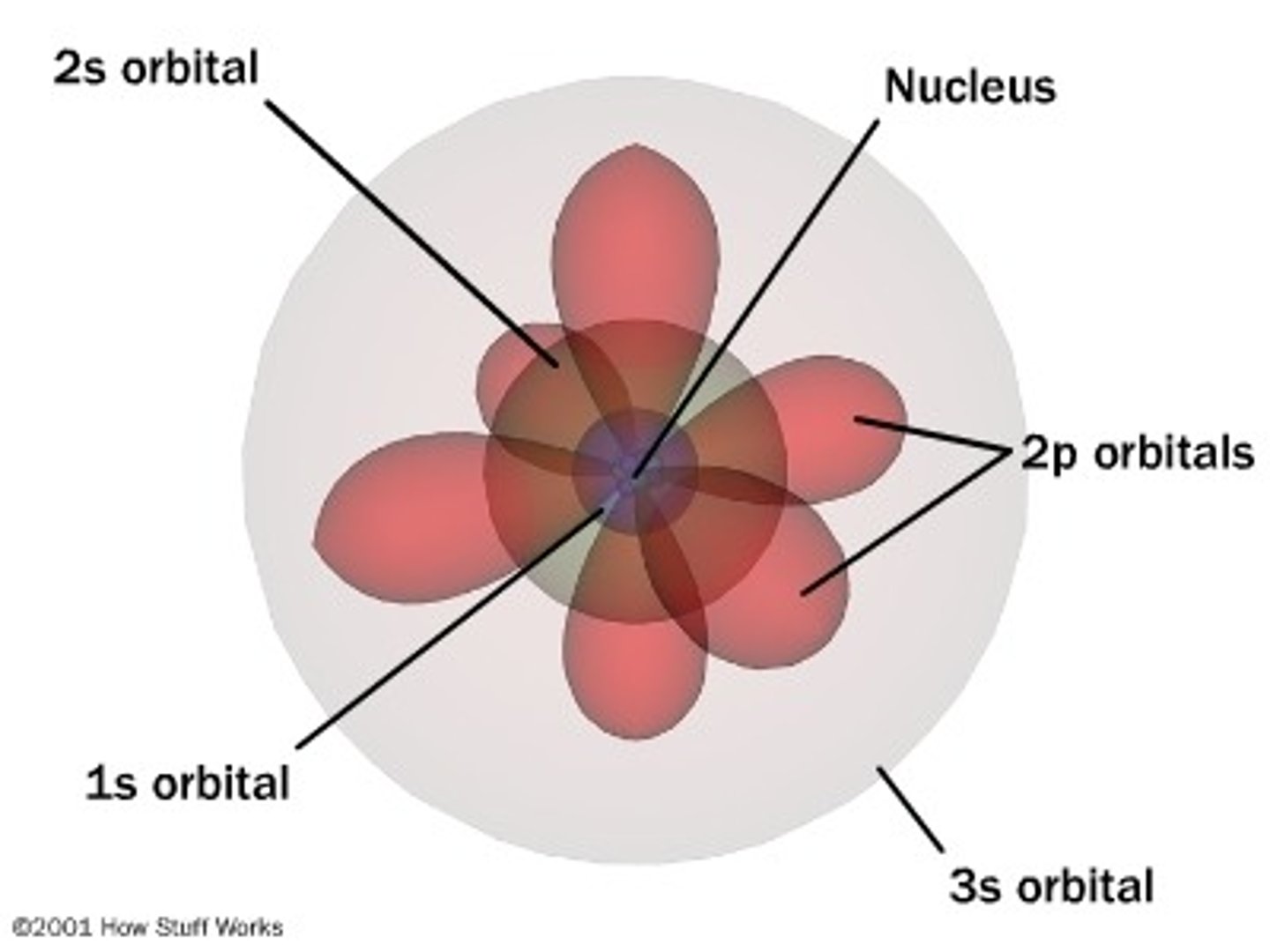 <p>are areas where an electron is MOST LIKELY to be found.</p>
