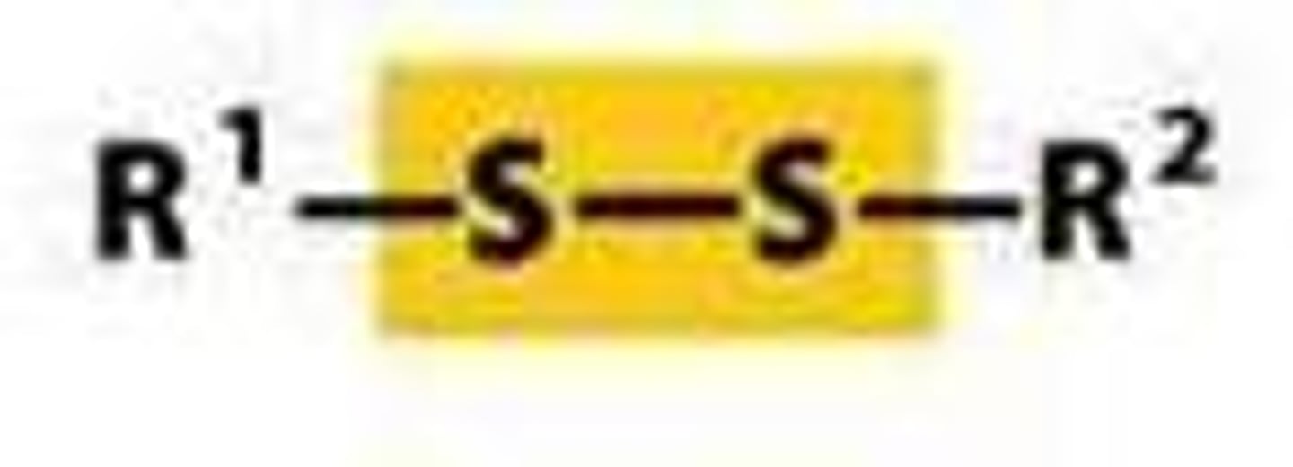 <p>-two sulfurs bonded together</p>
