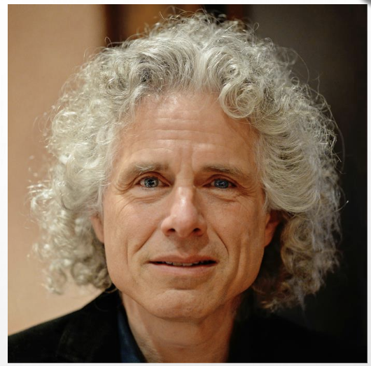 <p>Steven Pinker</p>