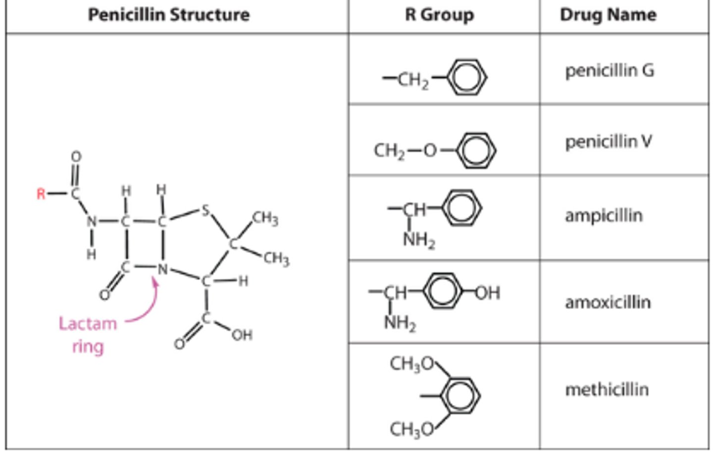 <p>Penicillin is a beta-lactam antibiotic. </p><p>Different penicillins have different R groups. </p><p>Pen G is only effective on gram + as it cannot get across the outer membrane of gram -ve bacteria. </p><p>When R group is modified that allow it to move across the outer membrane eg amplicillin and amoxicillin and are called broad spectrum antibiotics ( these are semi synthetics ).</p>