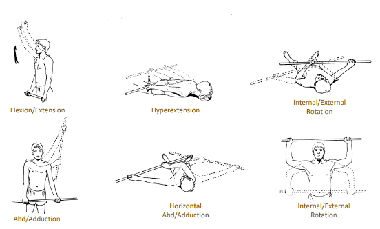 <p>These exercises test for what?</p>