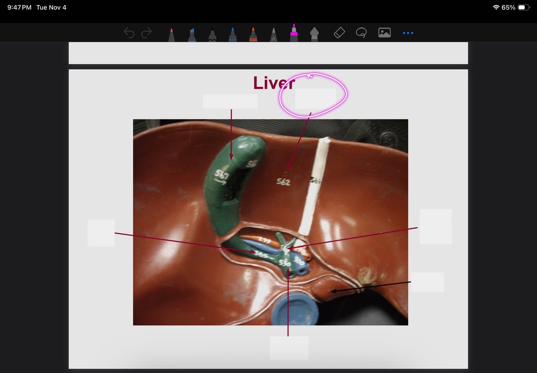 <p>What is this?</p>