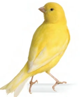 <p></p>