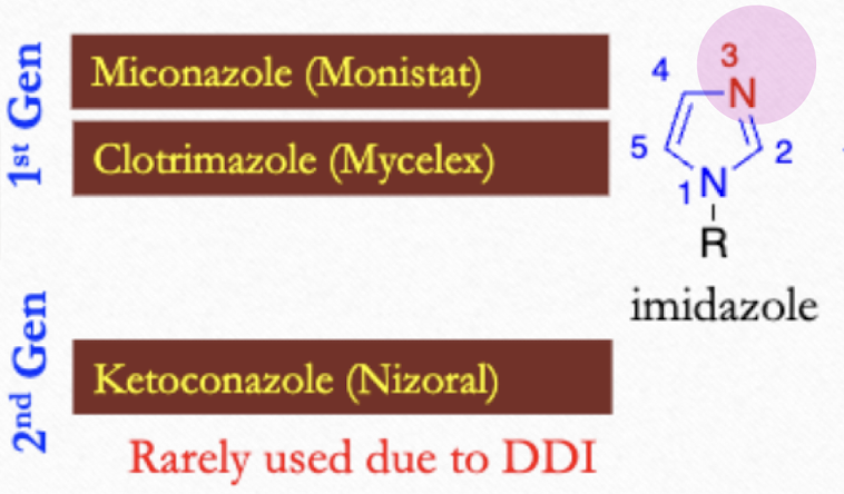 <ul><li><p>1 gen: Miconazole (Monistat), Clotrimazole (Mycelex) </p></li><li><p>2 gen: Ketoconazole (Nizoral)</p></li></ul><p></p>