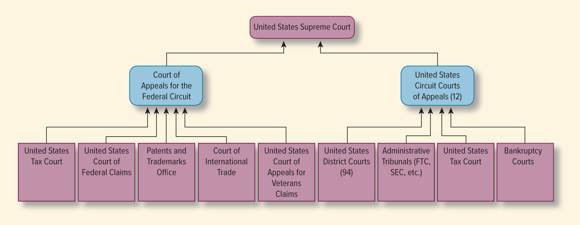 <p><span><span>The U.S. federal court system is a three-tiered structure with trial courts (District Courts), intermediate appeals courts (Circuit Courts of Appeals), and the final authority (the Supreme Court)</span></span></p>