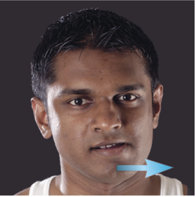 <p>movement of the mandible to either the left or right</p>