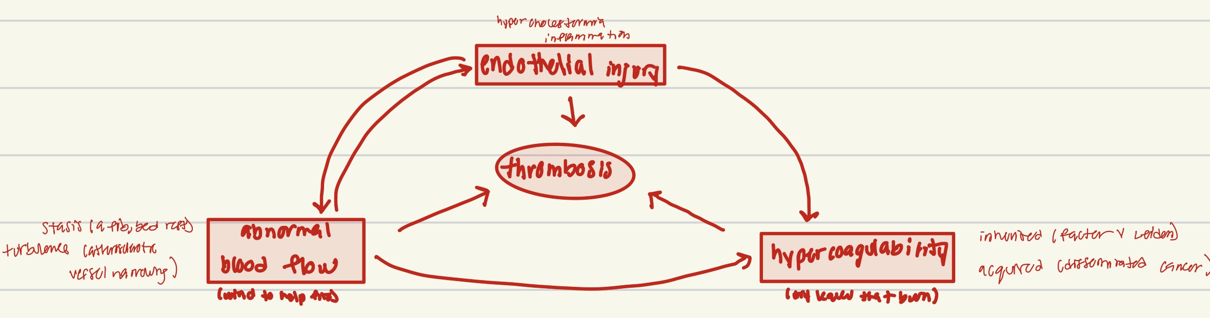 knowt flashcard image