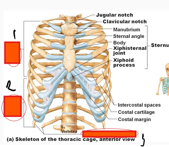 <p>What is this structure?</p>