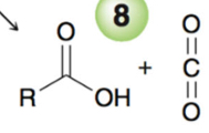 <p>Carboxylic acid and CO2</p>