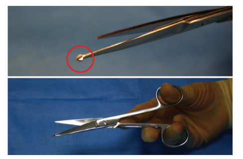<p>Nickname: Bandage Scissors</p><p>Use: Removes dressing</p><p>Features: Rounded guard at working end to prevent injury to skin </p>