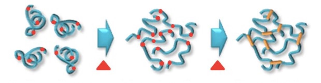 <p>Describe picture 3 </p>