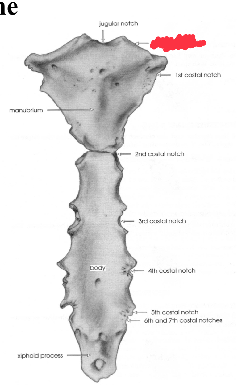 <p>What is this structure?</p>