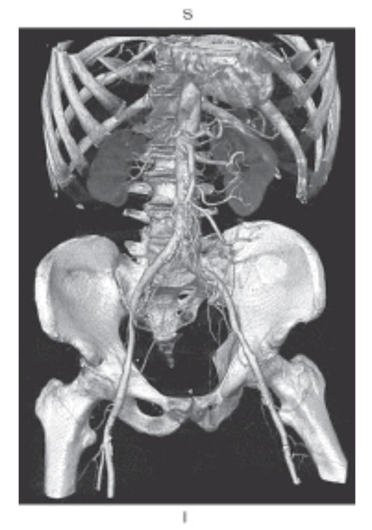 <p><span>The figure below is an example of which of the following?</span></p>