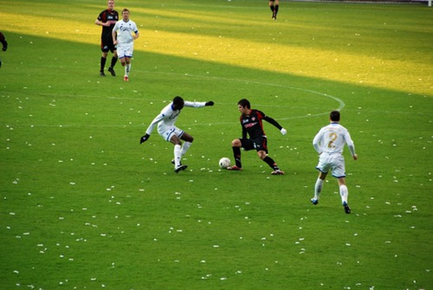 <p>Deceptive move (trick, ruse)</p>