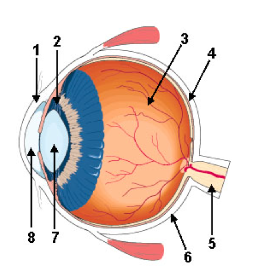 <p>What is 1 Pointing to?</p>