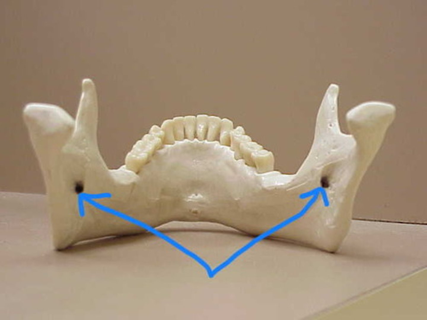 knowt flashcard image