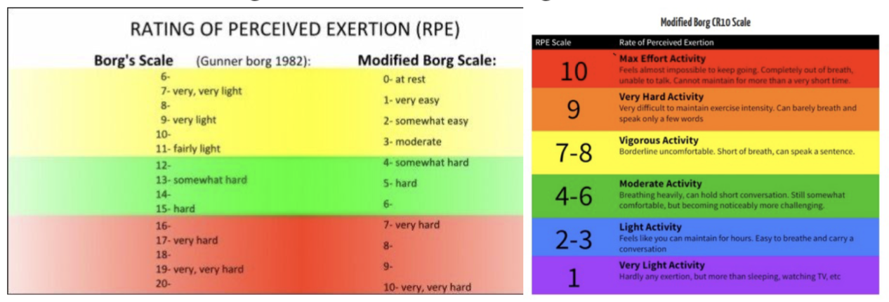 <p>what does the Borg Scale measure?</p>
