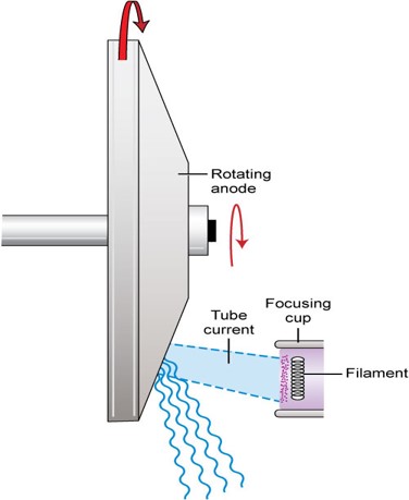 <p>the atoms of tungsten, generating heat and x-rays</p>
