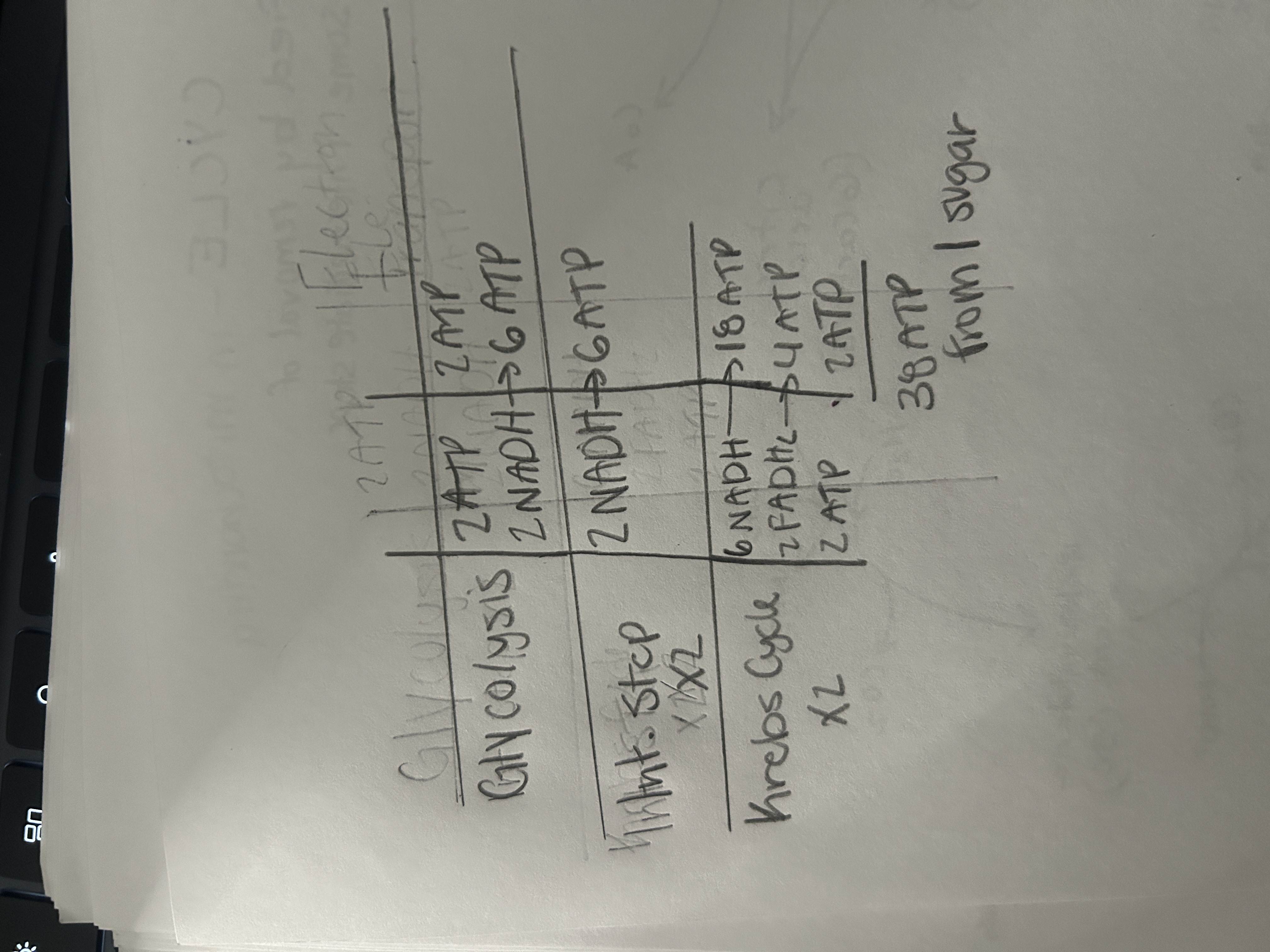 knowt flashcard image