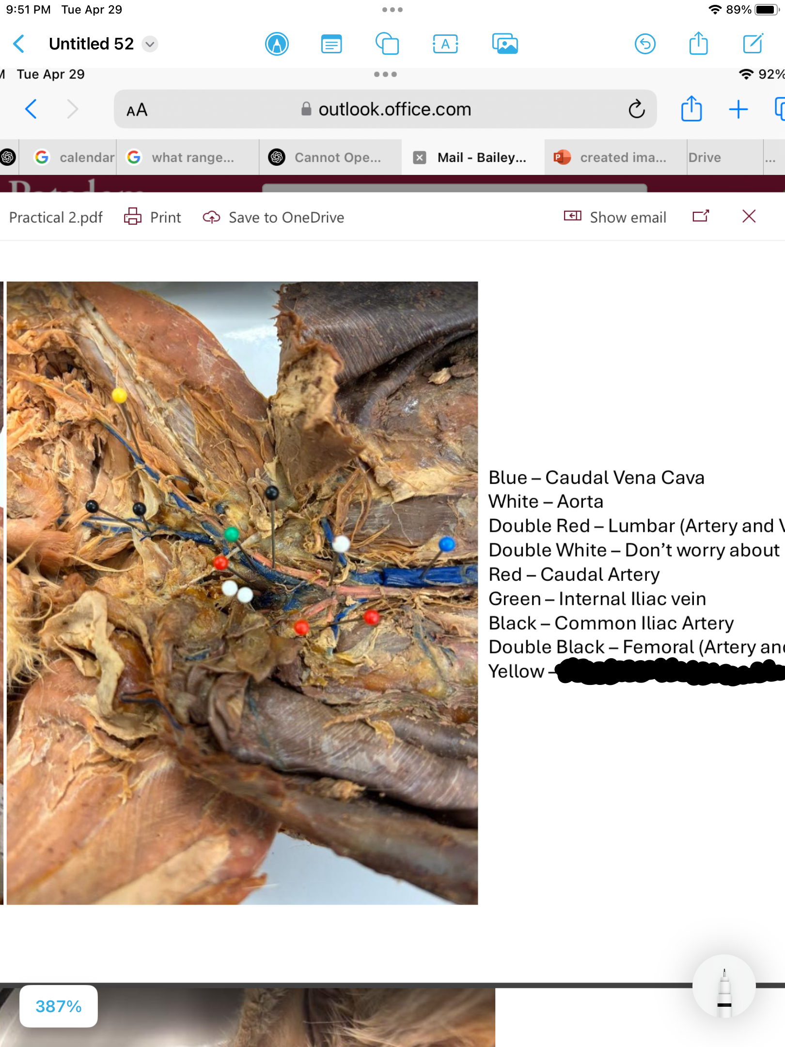 <p>label the area</p>