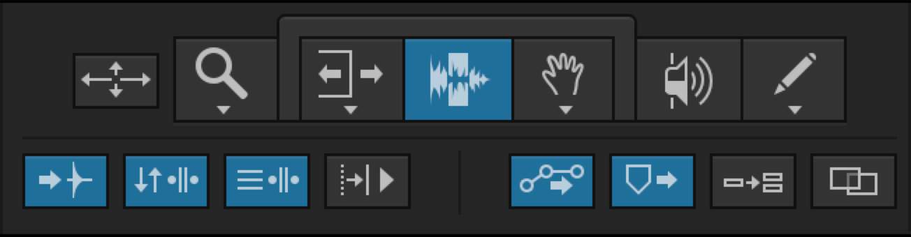 <p>True or False? Based on the image shown, the Insertion Follows Playback option is enabled.</p>