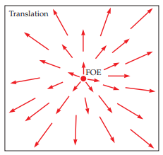 <p>the changing angular positions of points in a perspective image that we experience as we move through the world</p>
