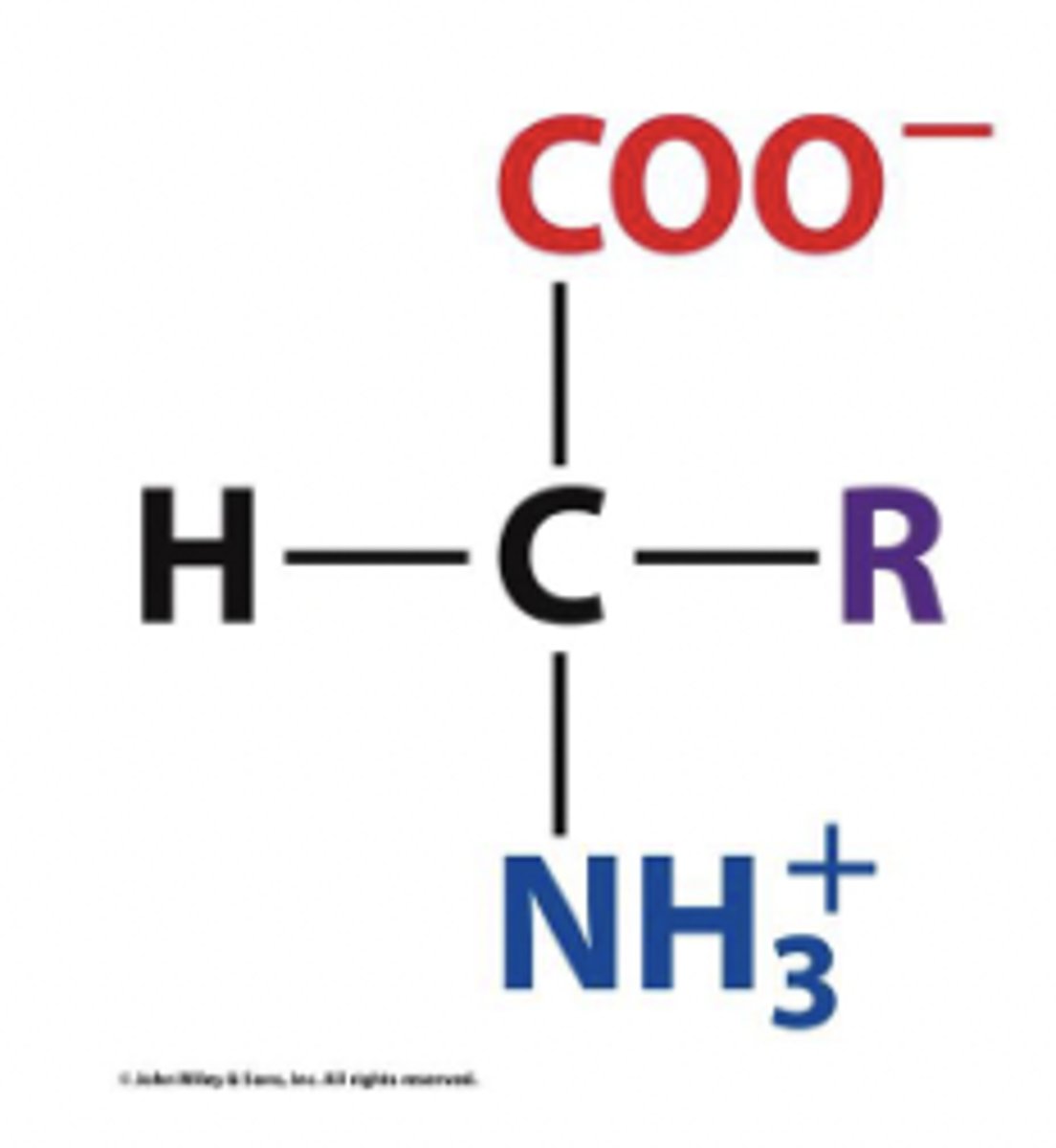 <p>in solution at pH 7, free amino acids exist as this</p><p>- NH3+ (protonated) and COO- (deprotonated)</p><p>- ionization state is zero</p>