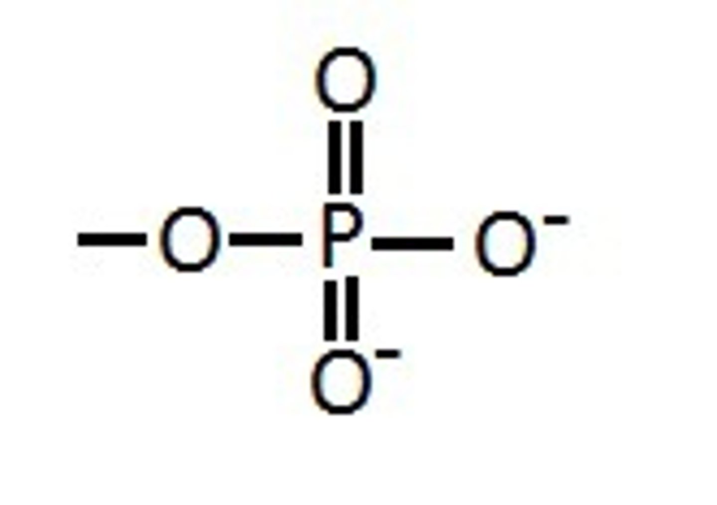 <p>Phosphate</p>