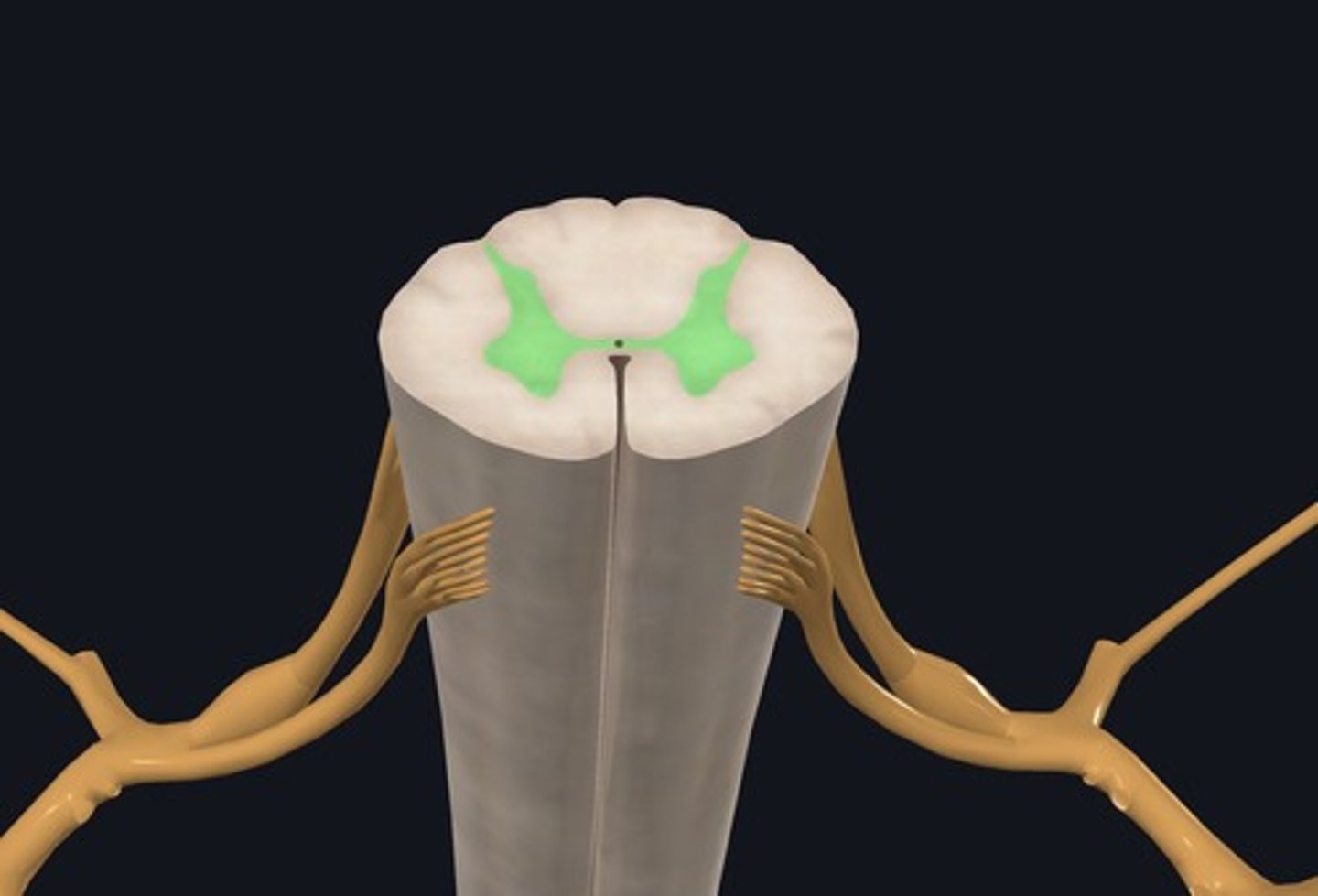 <p>Name the H shaped landmark highlighted green.</p>