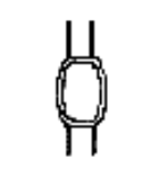 <p>what type of asexual spore is this</p>