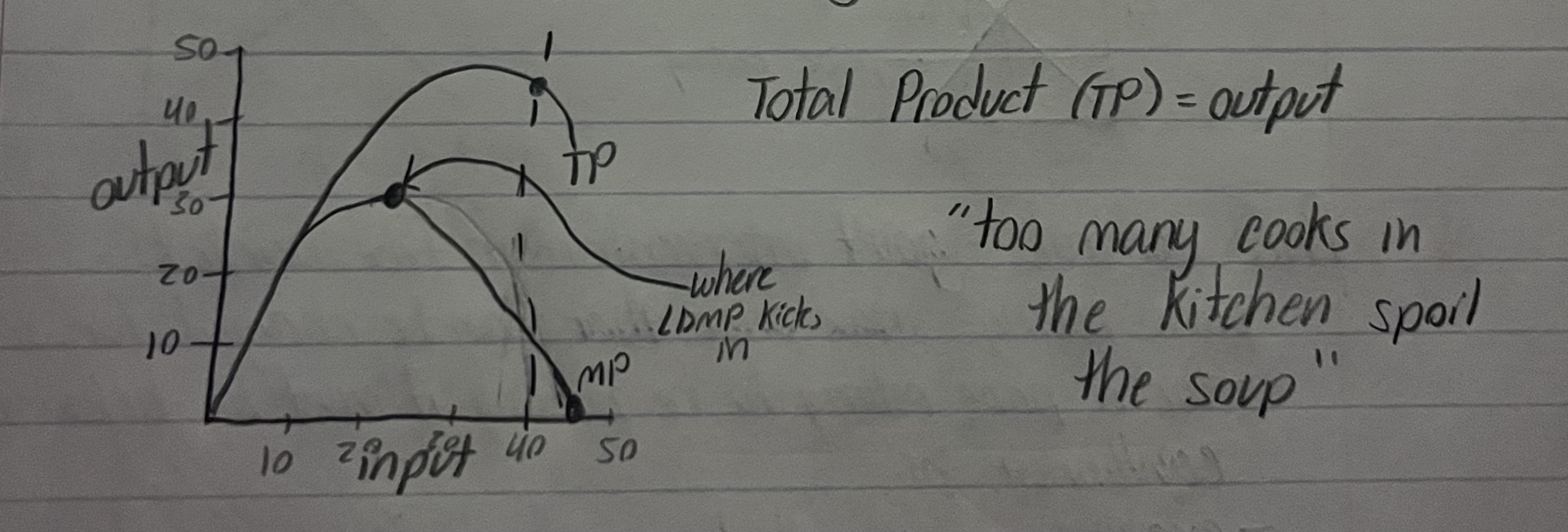 <p>Add factors of production to <u>fixed</u> factors of production, total output increases initially but eventually the additional output diminishes to the point of negative returns</p><p></p>