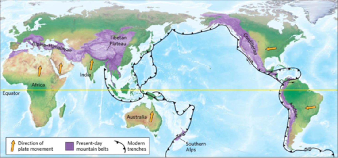 <p>region where mountain building has occurred during the Phanerozoic era (younger mountains)</p><ul><li><p><strong>EX: </strong>Appalachian Fold Belt</p></li></ul>