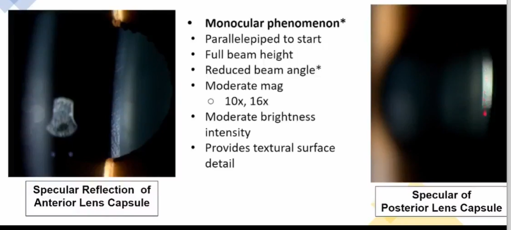 <ol><li><p><strong><u>monocular </u></strong></p></li><li><p>PPD</p></li><li><p>full beam height </p></li><li><p><strong><u>reduced beam angle</u></strong></p></li><li><p>moderate mag </p></li><li><p>mod brightness </p></li><li><p>provides textual surface detail </p></li></ol><p></p>