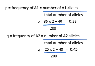<p>p = 0.55 and q = 0.45</p>