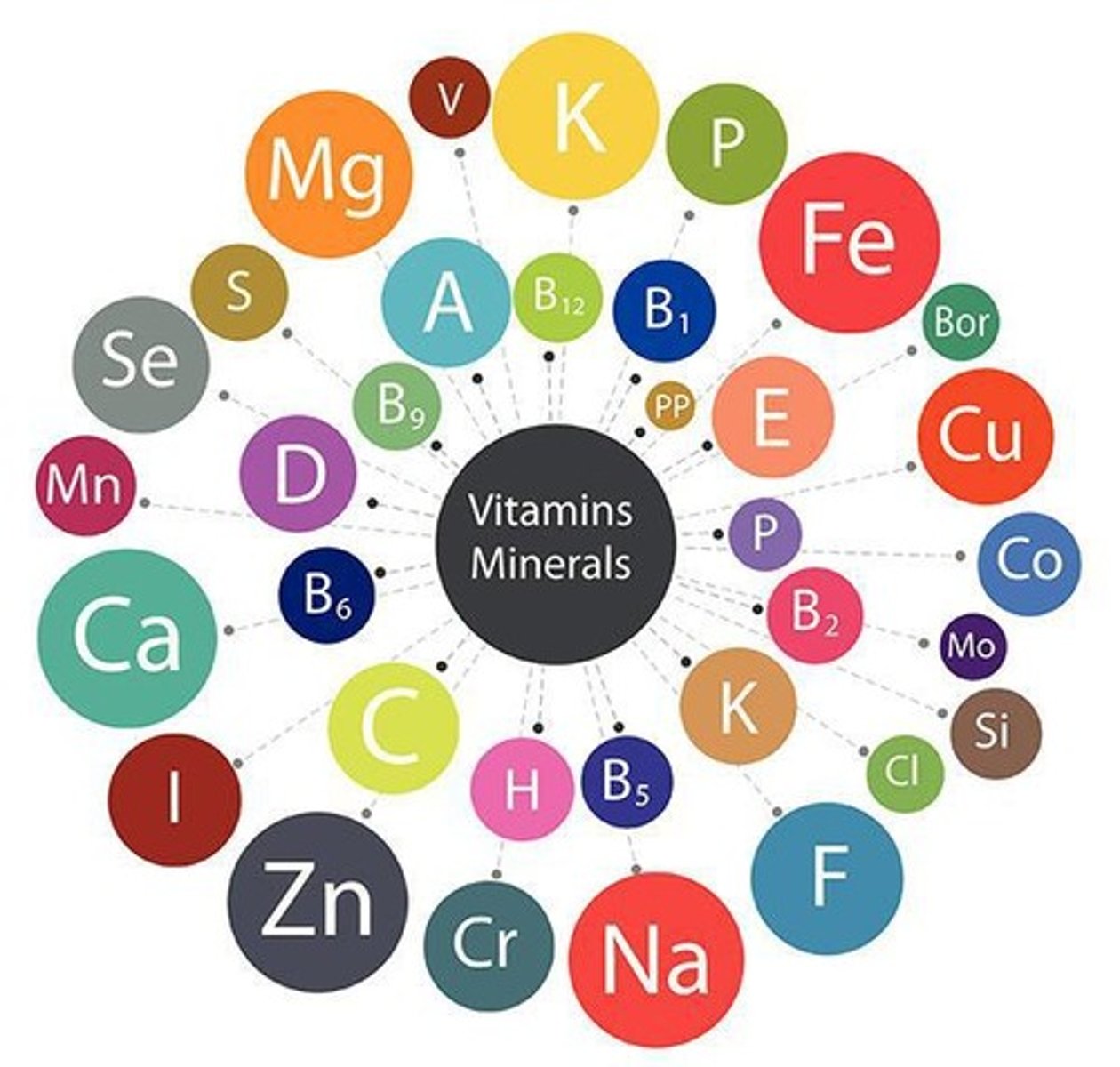 <p>Trace elements are essential minerals required in very small amounts, while vitamins are essential organic substances used in trace amounts, often as cofactors for enzymes.</p>